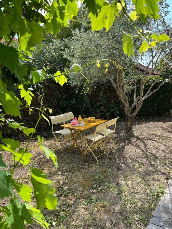 Maison De Charme Avec Jardin Carcassonne Ngoại thất bức ảnh
